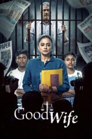 Good Wife: Season 1